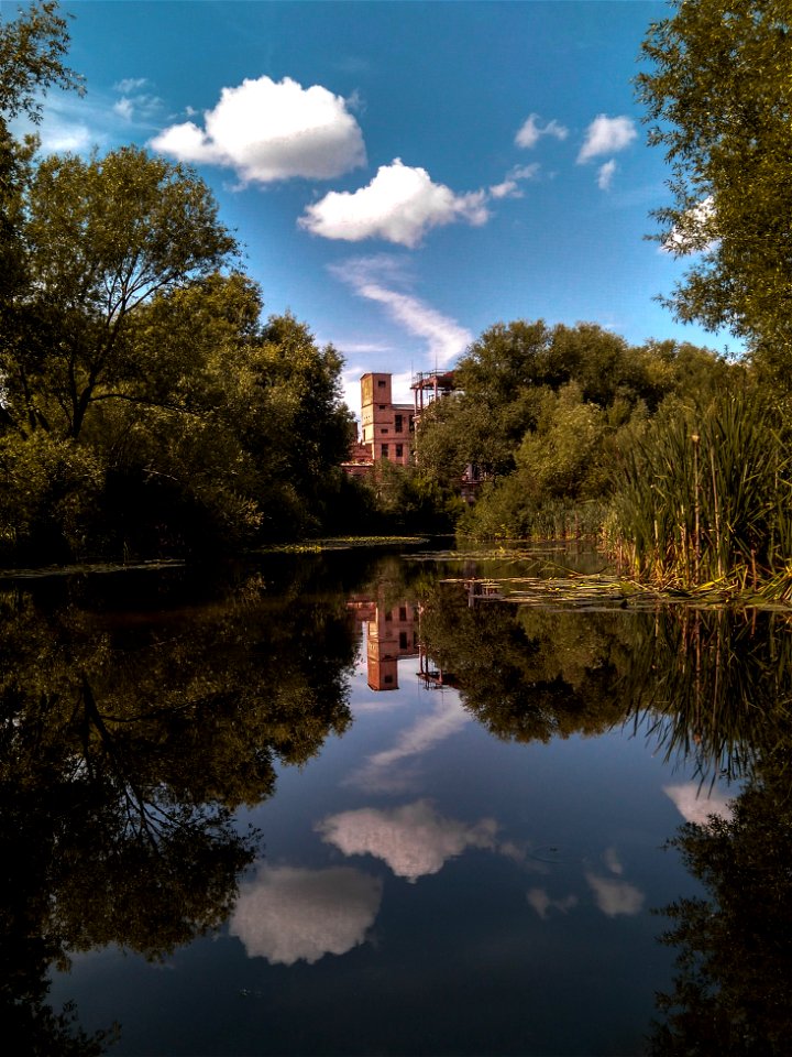 The reflection