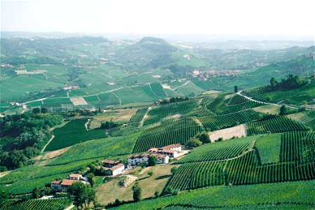 Italian Landscape photo