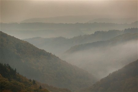Foggy landscape photo