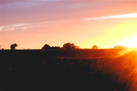 Sunset Horizon photo