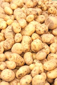 Food vegetables raw