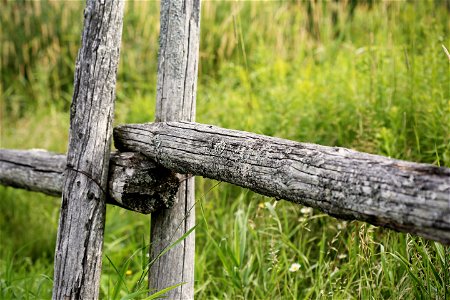 Wooden fence photo