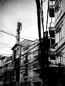 Tangled wires photo