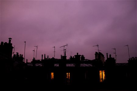 Purple Paris photo