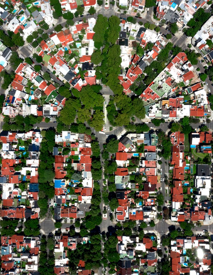 Houses and Trees