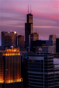Chicago skyscrapers – Evening photo