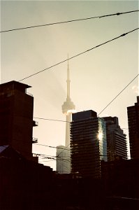 Toronto in morning light photo