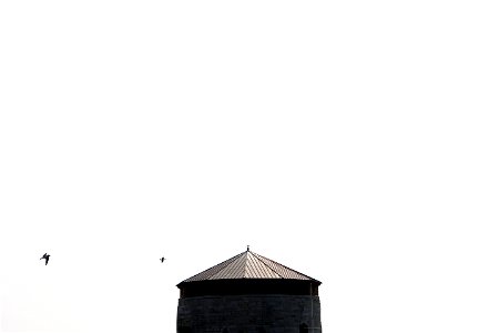 Lonely Tower photo
