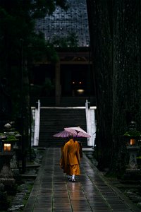 Promenade At Dawn photo