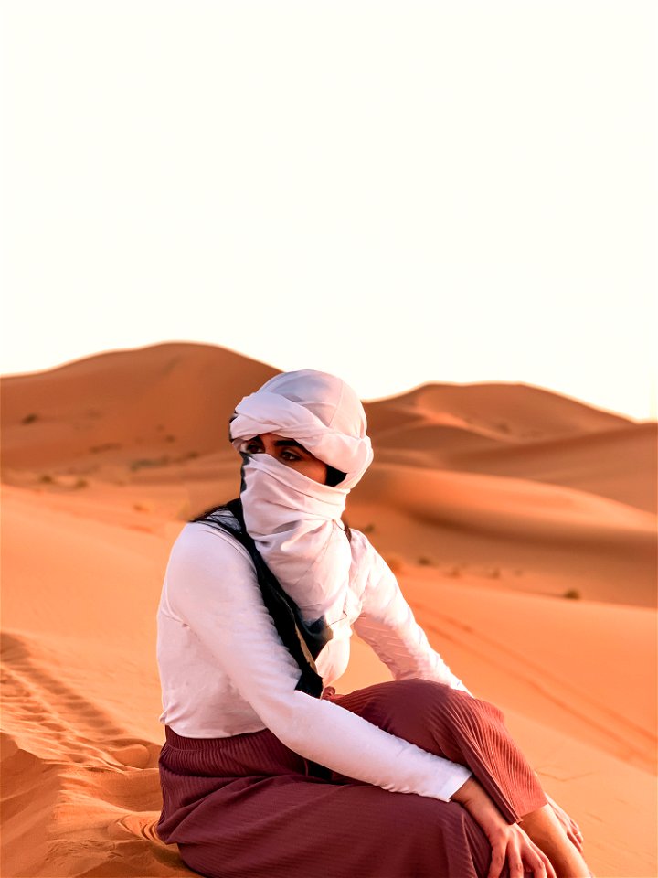 Lost in the Sahara photo