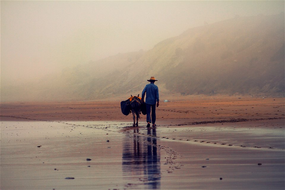 Man Walking on Beach photo