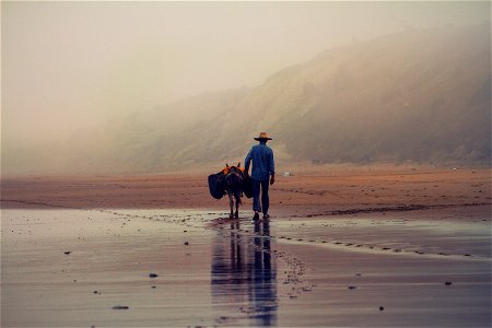 Man Walking on Beach photo