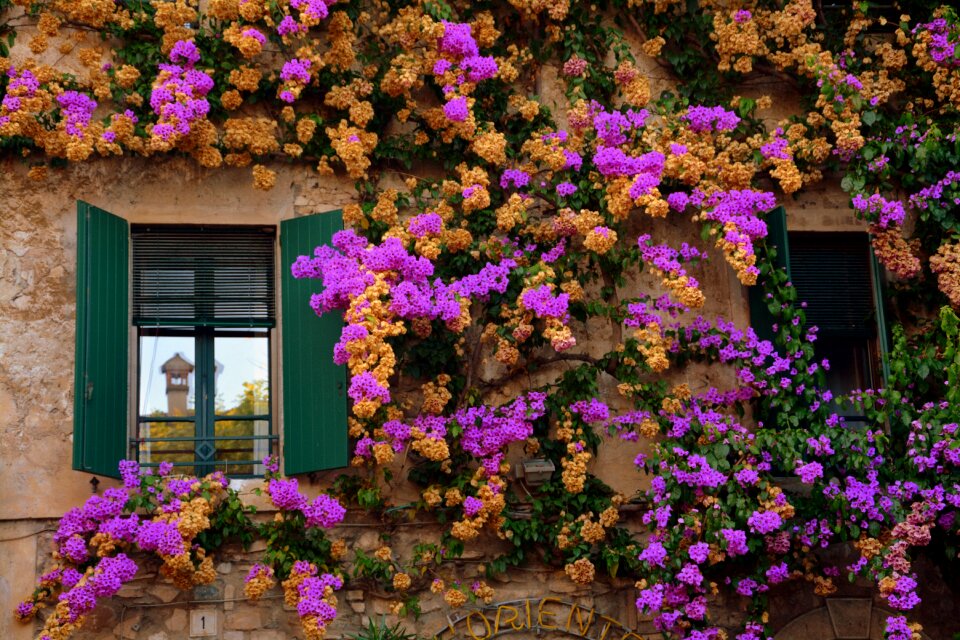 Flower house sirmione