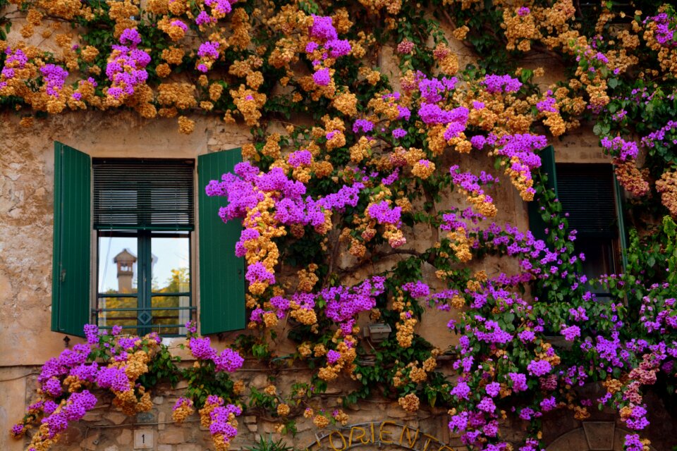 Flower house sirmione photo