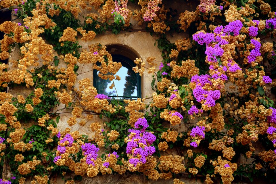 Wall sirmione italy