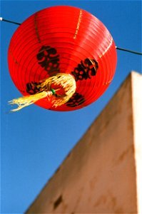 Chinese Lantern photo