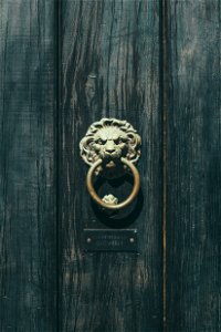 Lion Knocker
