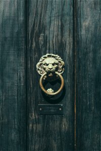 Lion Knocker photo