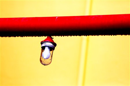 Bulb On Pipe photo