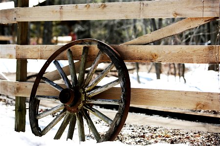 Fence & Old Wheel photo