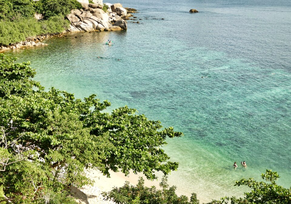 View ocean nature
