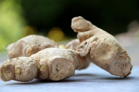 Ginger tuber asian cuisine sharp photo