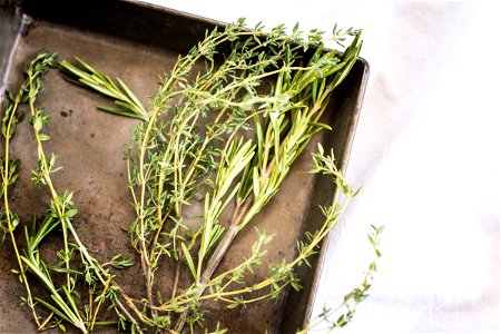 Fresh Herbs – Rosemary and Thyme