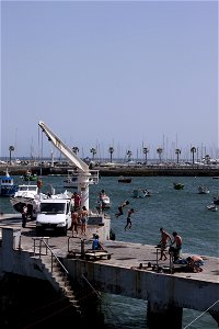 Harbor pier photo