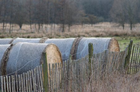 Agriculture harvest field photo