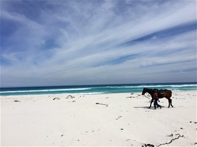 Southafrica-Cape town-Beach