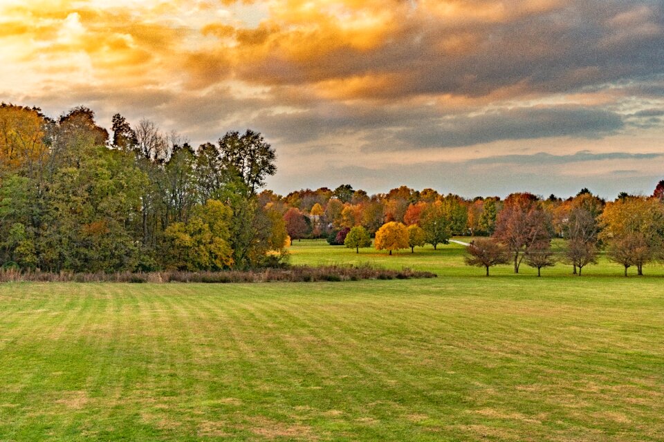 Autumn tree sky