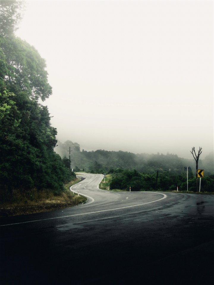 Misty Road photo
