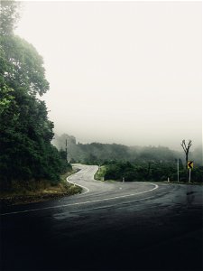 Misty Road photo