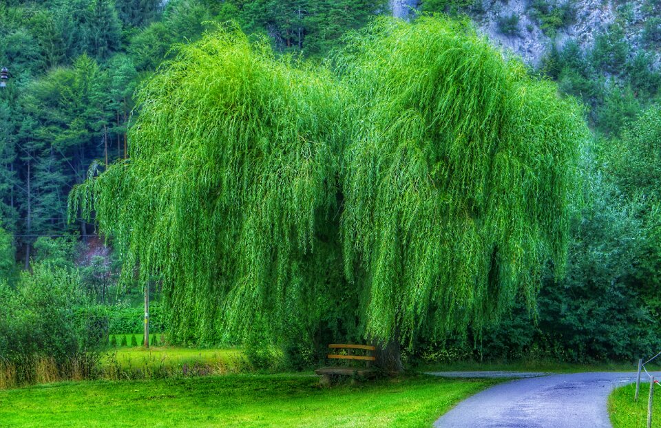 Meadow nature bank