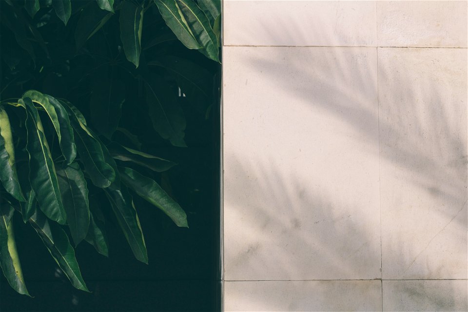 Textures
