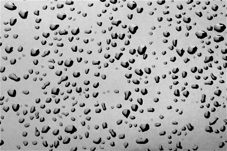 Water Drops photo