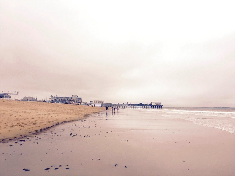 Gloomy Old Orchard
