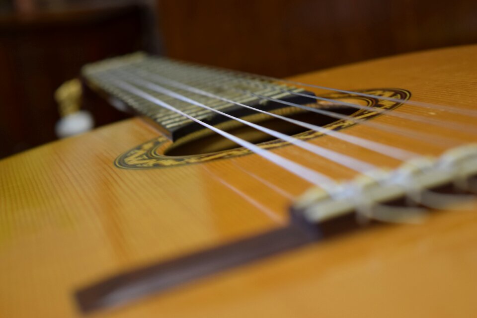 Instrument guitarist string photo