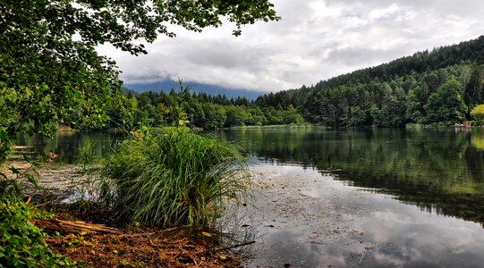 Mood forest landscape