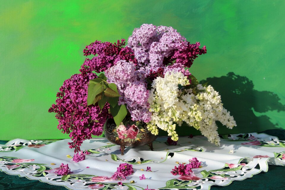 Floral flowers color
