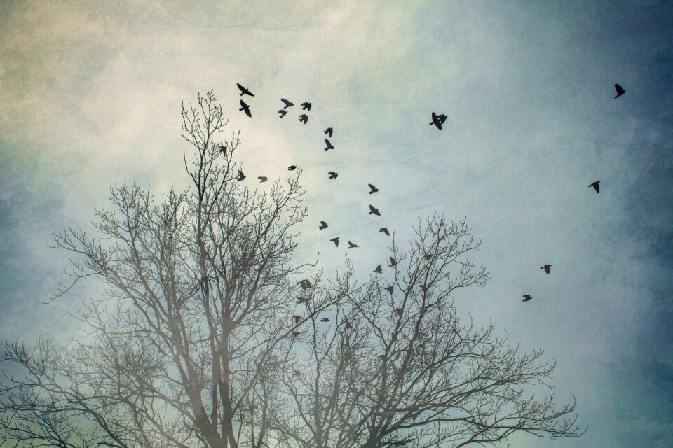 Season the silhouette sky