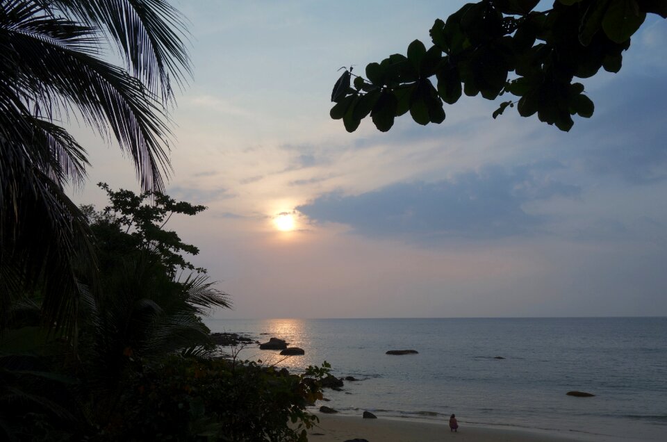 Nature landscape exotic