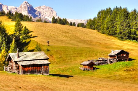 Nature enjoy summer