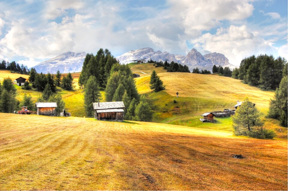 Nature enjoy summer
