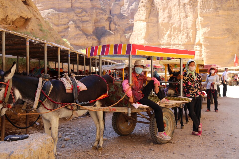 Yellow river forest china lanzhou