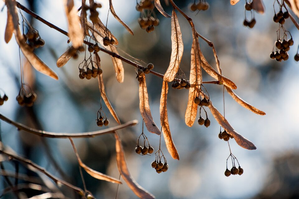 In the fall season nature