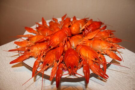 Red crayfish food appetizer