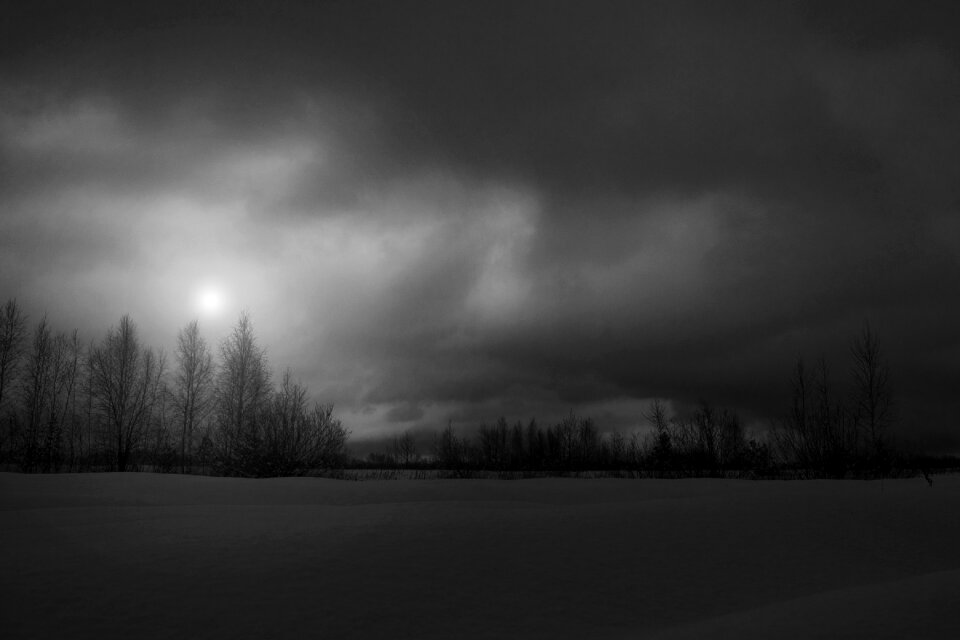 Snow black and white contrast