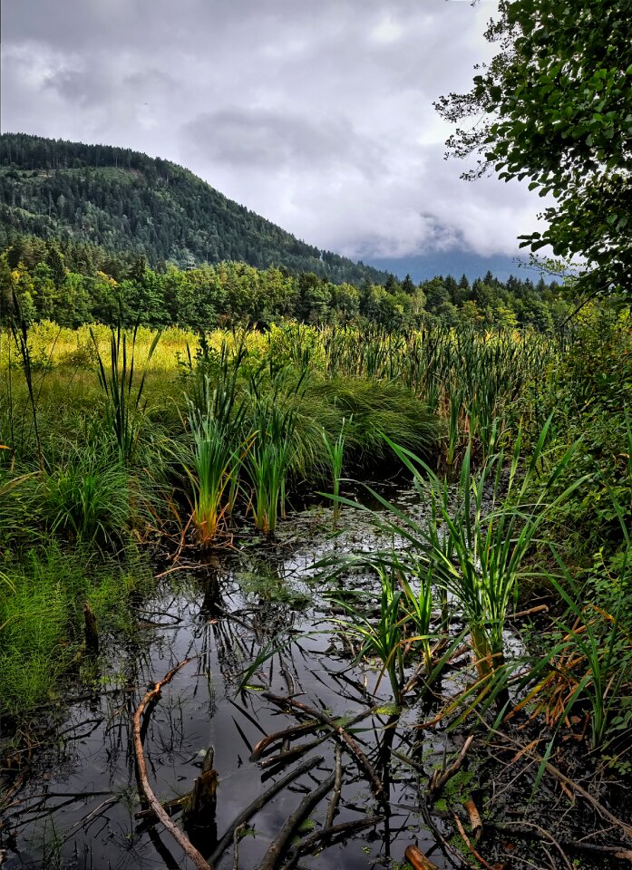 Landscape water nature