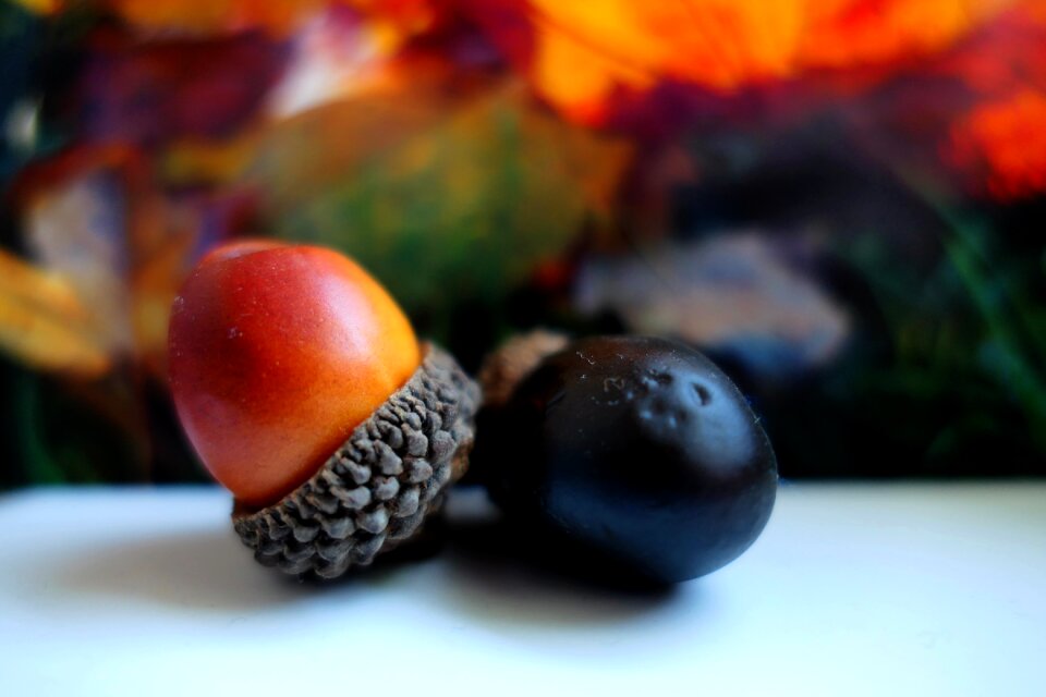 Autumn decoration decoration autumn motives